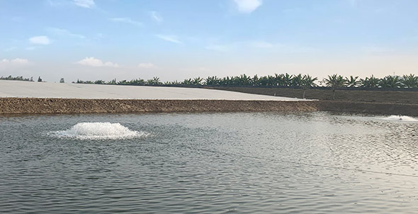 養(yǎng)魚塘增氧機(jī)-魚塘增氧機(jī)-增氧機(jī)廠家